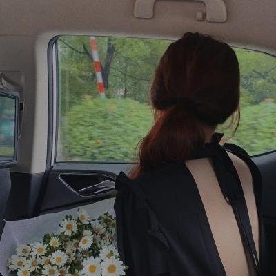 虞美人草(电影)