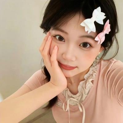 盗贼生涯